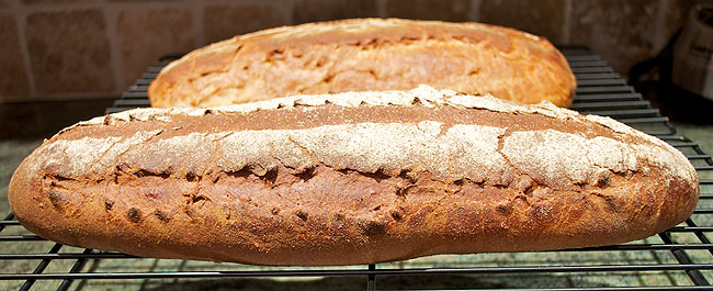 Honey Wheat Bread cooling