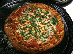 Cheese and Herb Pizza