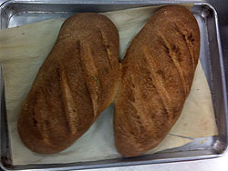 Whole Wheat Lean Dough - Batard
